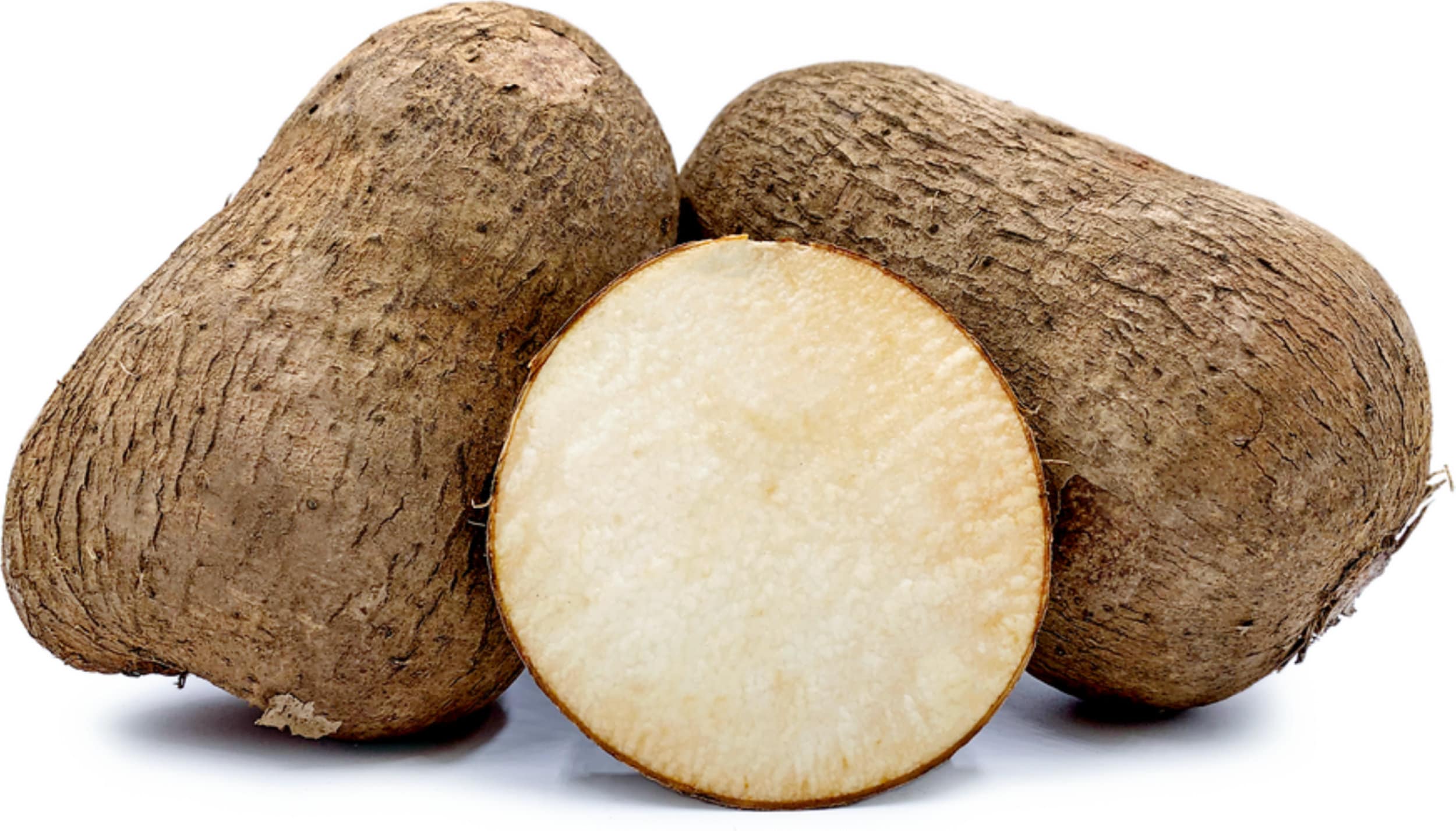 African Yam Tubers Ghana White Yams White Name Roots Nayga | Etsy