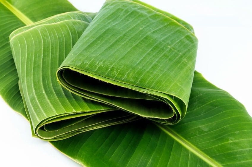 Fresh Banana Leaf Whole Banana Leaf Banana Leaf Bunch 2 Etsy UK