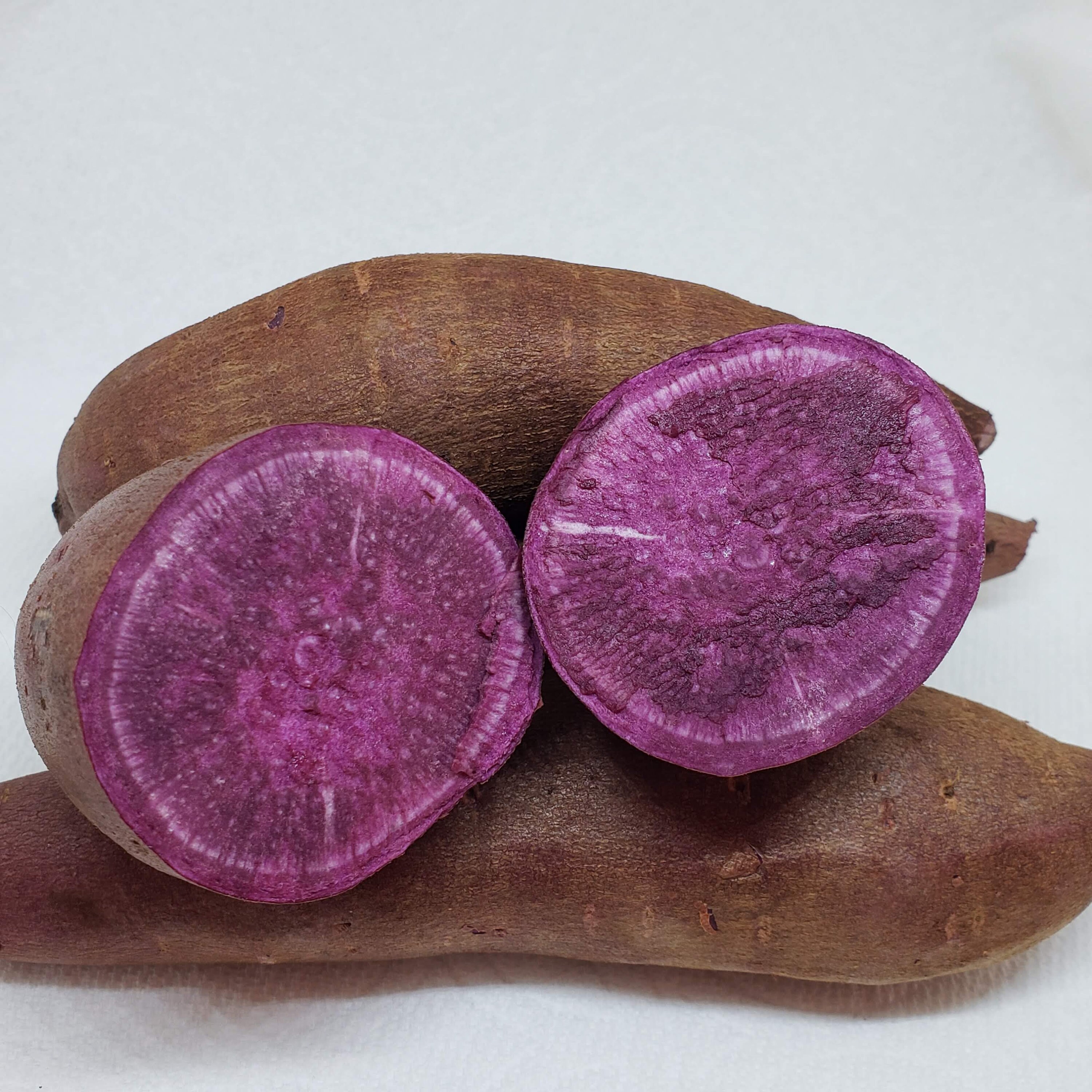 Fresh Purple Yam Ube Purple Yam Tuber Ube Root Ube Bulb Etsy