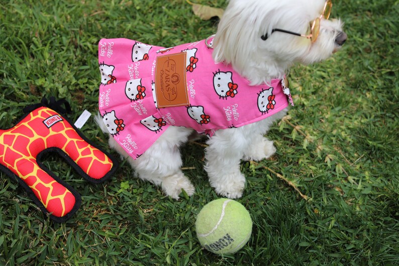 tanya rencontre avec une doggy girl