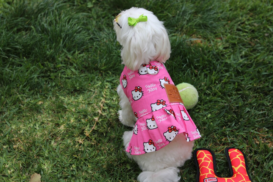 Chat Chien Déguisement Chiot Doggy Chihuahua Robes de chaton | Etsy