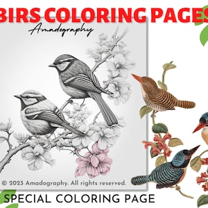Puede incluir: Una página para colorear con diferentes pájaros. Los pájaros están dibujados en blanco y negro, y el fondo es un simple blanco. El texto "BIRDS COLORING PAGES" está en la parte superior de la página, y el texto "A SPECIAL COLORING PAGE" está en la parte inferior de la página.