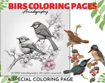 Bird Coloring Pages • 25 Dark Greyscale Illustrations (PDF Pattern)