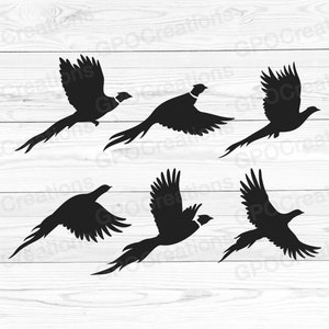Paquete SVG de faisán, SVG de caza de faisán, SVG de faisán, Svg de caza de aves, Clipart de faisán, Svg de silueta de faisán, Svg de faisán volando