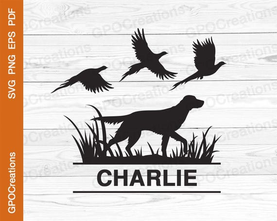 Autocollant Sticker 'Plaisirs De La Chasse' Au Faisan - Vintage - Occasion