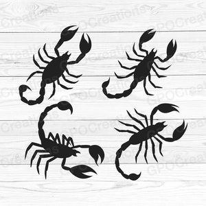 Scorpion SVG, Halloween Scorpion SVG, Scorpion Silhouette, Scorpion Clipart, Scorpion PNG, Spooky Scorpion Svg, Scorpion Graphics Cut File