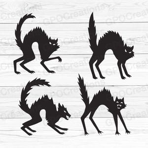 Halloween Cat SVG, Halloween Black Cat SVG, Halloween SVG, Cat Svg, Black Cat Svg, Halloween Cat Clipart, Halloween Cat Png, Cat Halloween