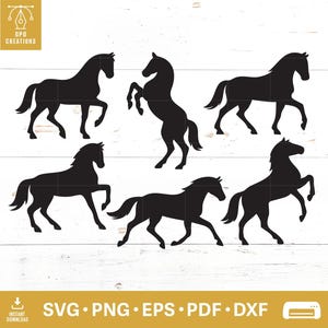 Horse SVG Bundle, Horse Silhouette SVG, Horse Cut File, Horse Vector, Equestrian SVG, Horse Lover Svg, Horse Shirt Svg, Horse Girl Svg Dxf
