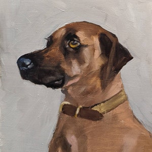Custom pet portrait,cat oil portrait,Pet oil painting, Dog artwork, Dog memorial,Cat Portrait. Personalized pet portrait from your photo