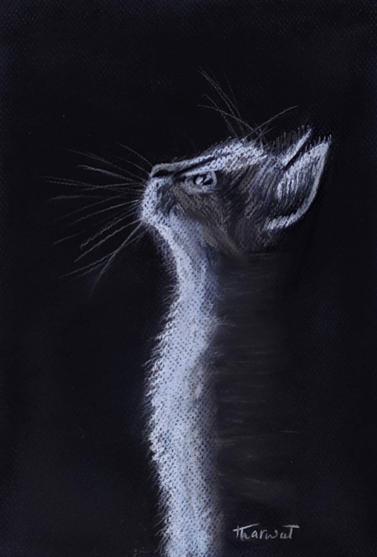 Original Pastel painting Cat Etsy