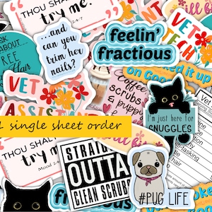 Vet Tech Week Vet Assistant Sticker Sheet - ONE SHEET