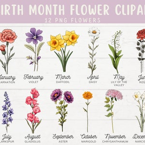 Geboortemaand bloemenbundel, geboortemaand bloemen clipart, antieke bloemen PNG bundel, DIY geboortemaand bloem, bloem grafisch, botanische clipart