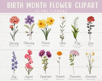 May include: A digital illustration of 12 birth month flowers, each labeled with the month and flower name. The flowers include carnation, violet, daffodil, daisy, lily of the valley, rose, larkspur, gladiolus, aster, marigold, chrysanthemum, and narcissus.