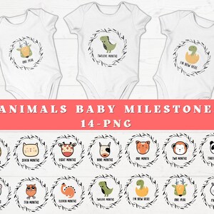 Milestones Baby Onsie, Baby Milestones Png, Baby Months PNG, Baby First Year, Newborn tshirt, Toddler Tshirt, Infant Milestones Clipart