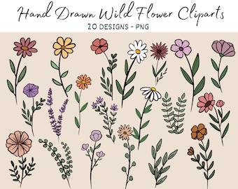 Fiore Bundle PNG, Primavera Clipart, Wildflower Png, Clipart floreale, WildFlowers Png bundle, Bundle di fiori Png, Wildflowers Clipart