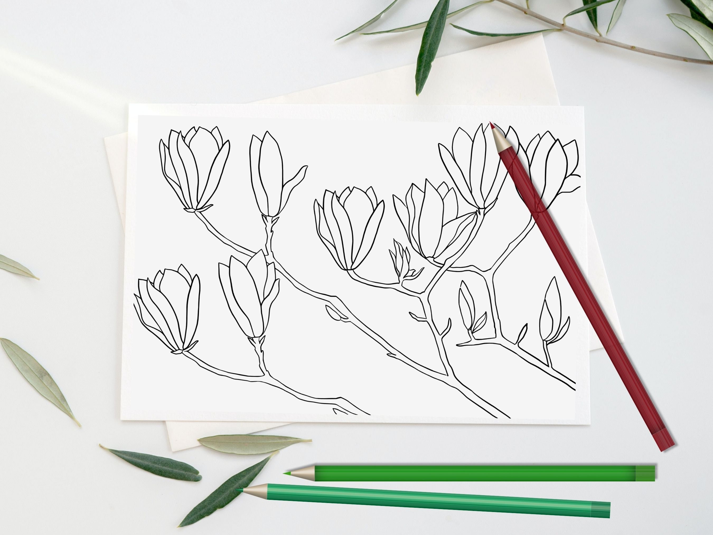 Plant Coloring Page Printable Coloring Sheets Plant - Etsy