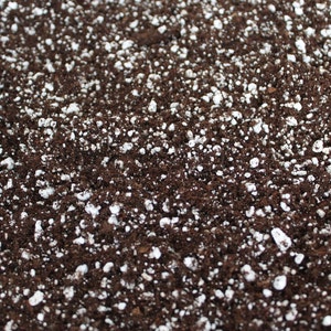 May include: Close-up of a brown soil mix with white perlite granules. The soil is used for planting and gardening.