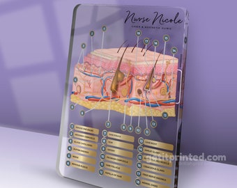 Couche cutanée et follicule pileux pour la formation en esthétique Académie/consultation Graphique d'anatomie de la clinique de la peau du visage. Marque avec nom ou logo