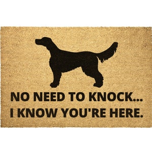Irish Setter Gift, Irish Setter Doormat Door Mat Outdoor Rug Dog Mom Dad Owner Lover Funny Outdoor Decor Christmas Porch