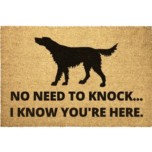 Irish Setter Gift, Irish Setter Doormat Door Mat Outdoor Rug Dog Mom Dad Owner Lover Funny Outdoor Decor Christmas Porch