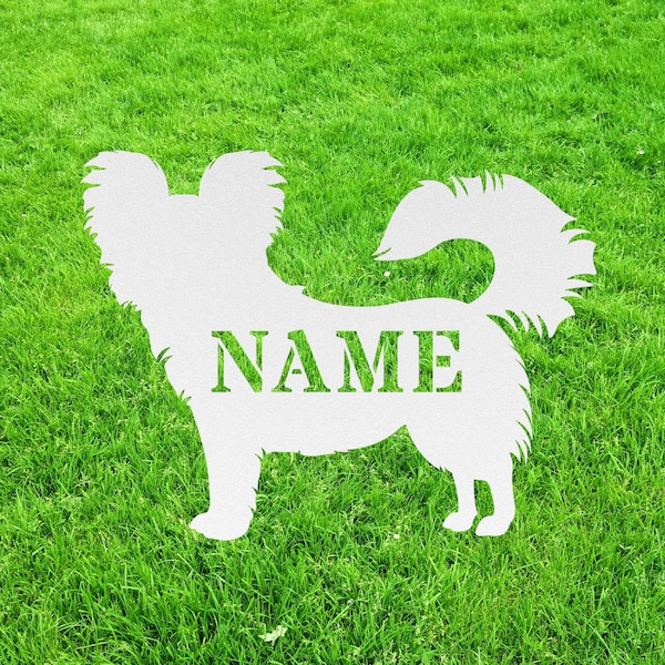 Long Hair Chihuahua Etsy