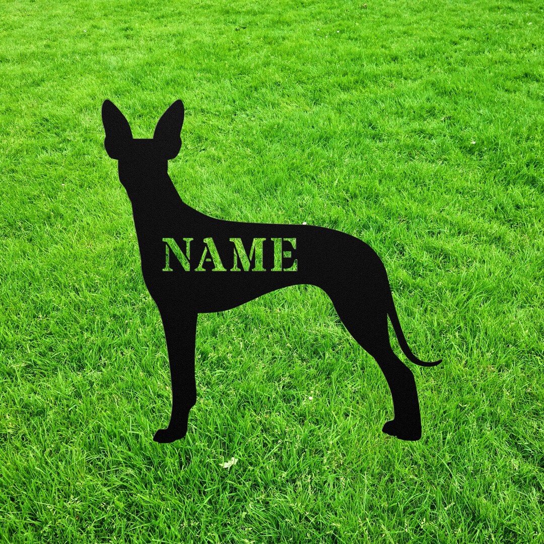 Personalized Cirneco Dell Etna Yard Statue Stake, Custom Sicilian