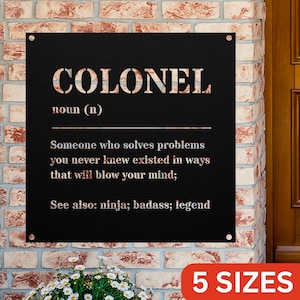 Funny Colonel Gift Metal Sign For Women and Men, For Birthday, Appreciation, Thank You Gift, A Personalized Custom Name Wall Art