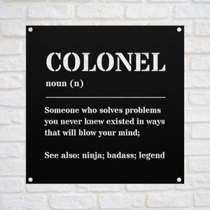 Funny Colonel Gift Metal Sign For Women and Men, For Birthday, Appreciation, Thank You Gift, A Personalized Custom Name Wall Art