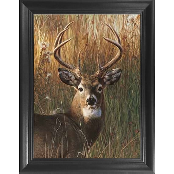 Deer Portrait, Framed Print or Canvas Wall Art
