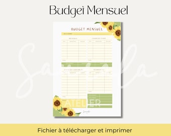Bilancio mensile | raccoglitore di budget e buste | PDF A4 da stampare