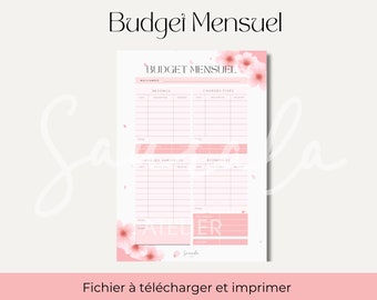 Monthly budget | budget binder and envelopes | A4 PDF to print