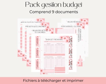 Budget Planner Pack | budget binder and envelopes | A4 PDF to print