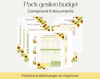 Pack budget Planner  | classeur et enveloppes budgétaires | PDF A4 à imprimer