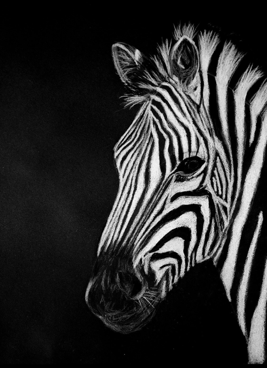 Zebra print | Etsy