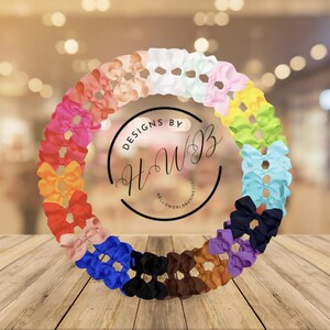 May include: A circular arrangement of colorful hair bows in various shades, including pink, orange, blue, and purple. The bows are arranged around a central logo that reads "DESIGNS BY HWB" and "HELLOWORLDBUSINESS". The background is blurred.