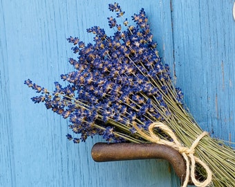 getrockneter Lavendelstrauß Größe S - Echter Lavendel aus Deutschland | Wildromantische, florale Deko