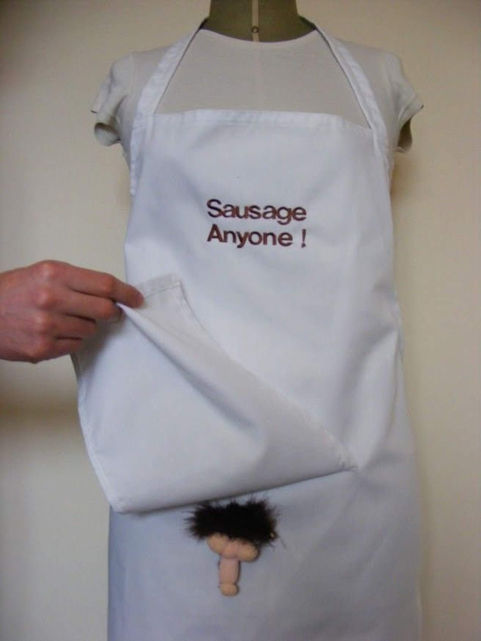 Novelty Aprons for Men Secret Willy Kitchen Bbq . Embroidered With