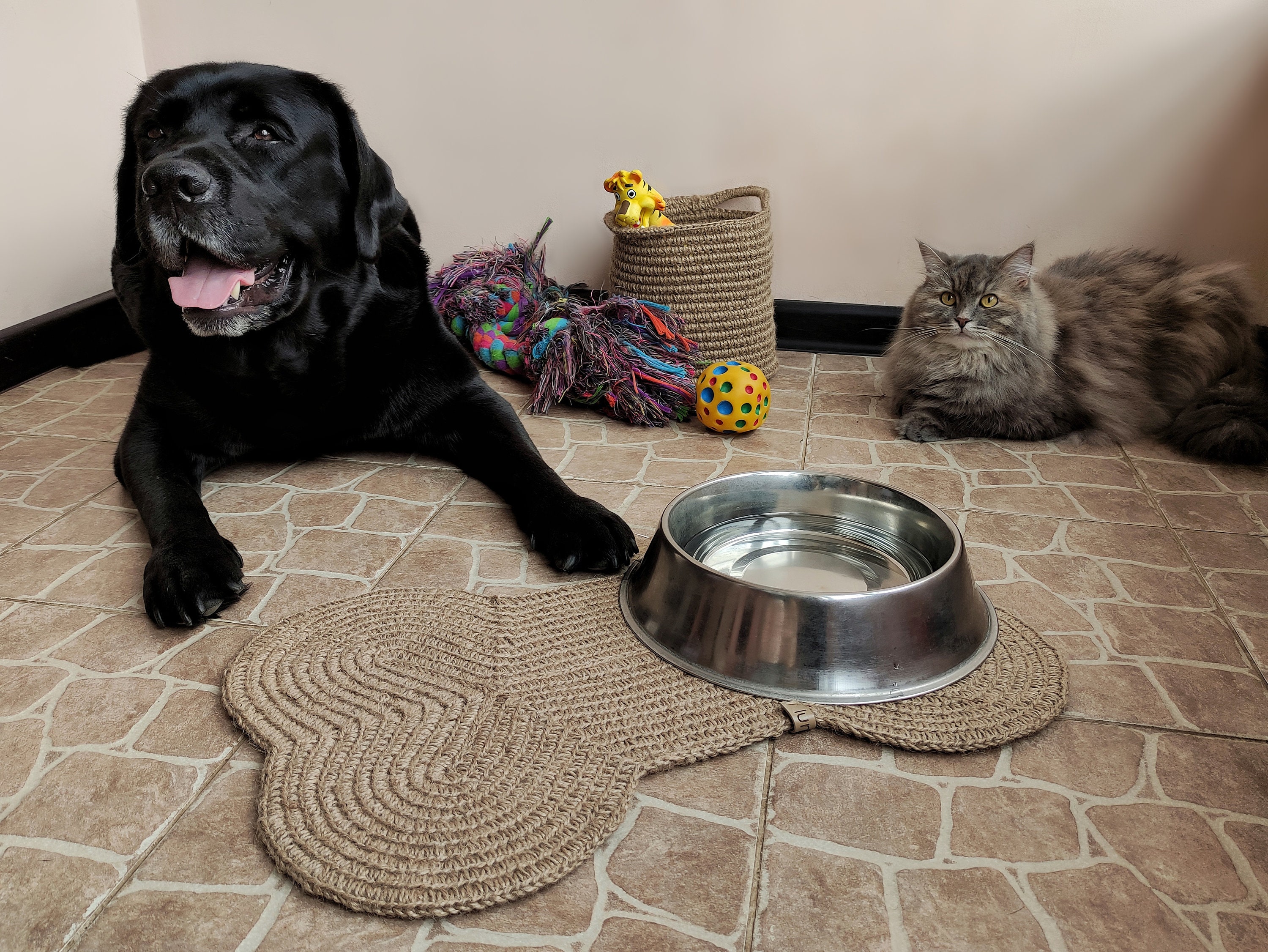 JUCFHY Pet Feeding Mat-Absorbent Cat & Dog Food Mat-No Stains Easy