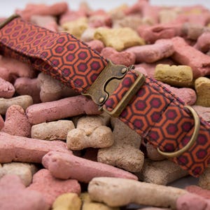 The Shining Rug Pattern Adjustable Dog and Cat Collar