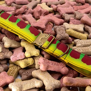 Pode incluir: Uma coleira para cão com um fundo degradé amarelo e verde vibrante com um padrão repetitivo de formas recortadas em vermelho escuro. A coleira inclui uma fivela de metal cor de latão e um anel em D a condizer.