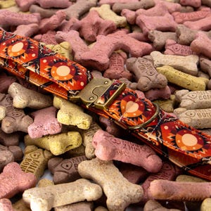 Puede incluir: Un collar para mascota con un vibrante patrón geométrico en naranja, rojo y negro con motivos solares. El collar incluye una hebilla de liberación lateral en tono bronce metálico y una anilla en D a juego para sujetar la correa.