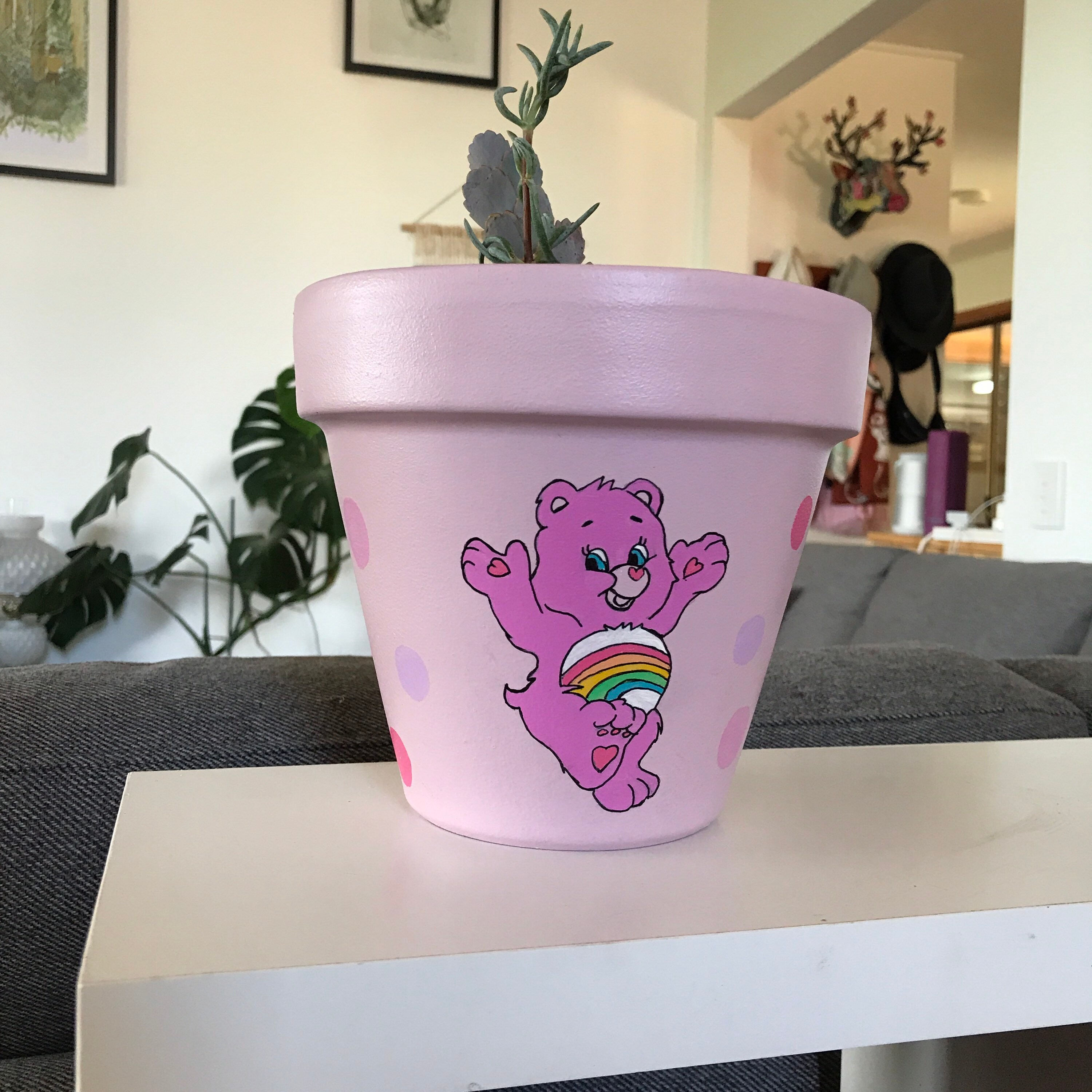 NEW Care BearsRainbow Hand Painted pot Indoor or outdoor Etsy