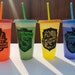 Harry Potter, Color Changing House Cups, Gryffindor, Slytherin, Hufflepuff & Ravenclaw Reusable Hard Plastic Cup 