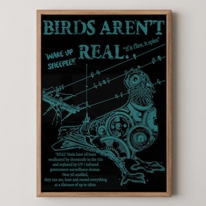 Peut inclure: Une affiche encadrée avec un fond noir et du texte et des illustrations turquoise. Le texte dit "BIRDS AREN'T REAL" et comprend les phrases "Wake up sheeple!" et "If it flies, it spies." L'image présente un oiseau mécanique.