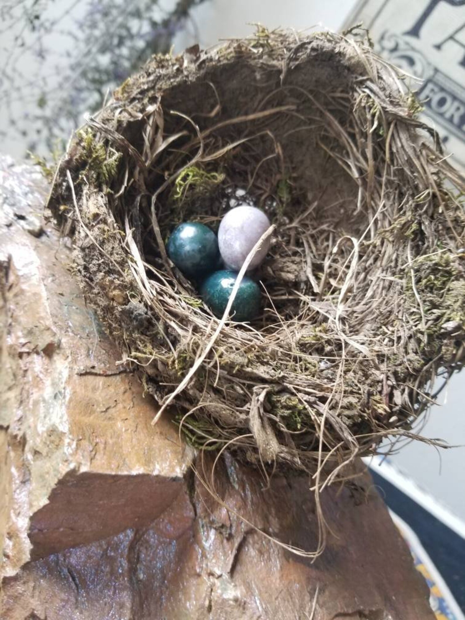 Crystal Eggs With Bird Nest Etsy Sweden