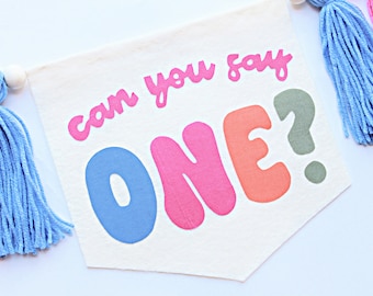 May include: A white fabric banner with the text "Can you say ONE?" in colorful, bubble-like letters. The banner is decorated with blue and pink tassels.