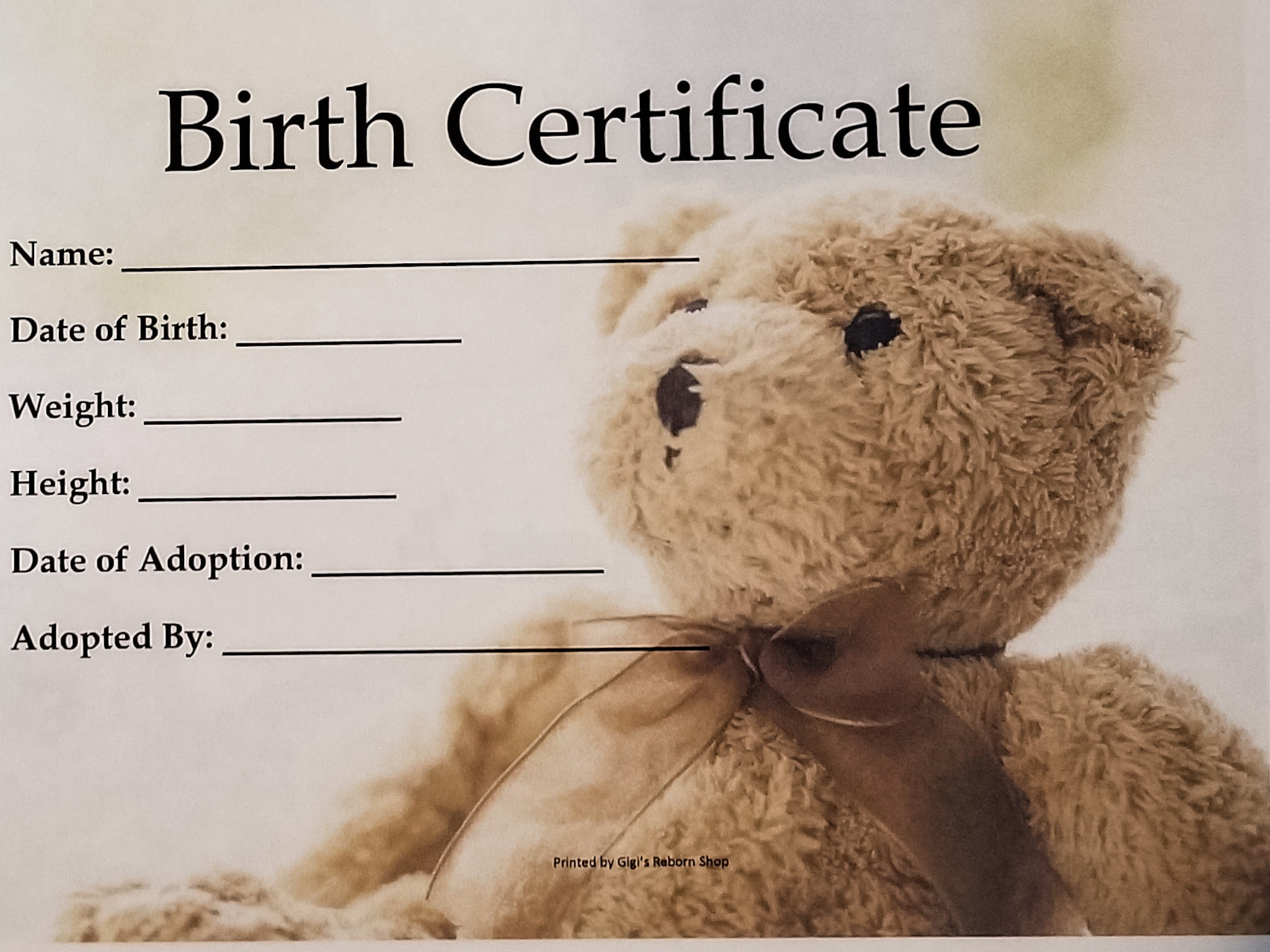 Reborn Birth/Adoption Certificate | Etsy