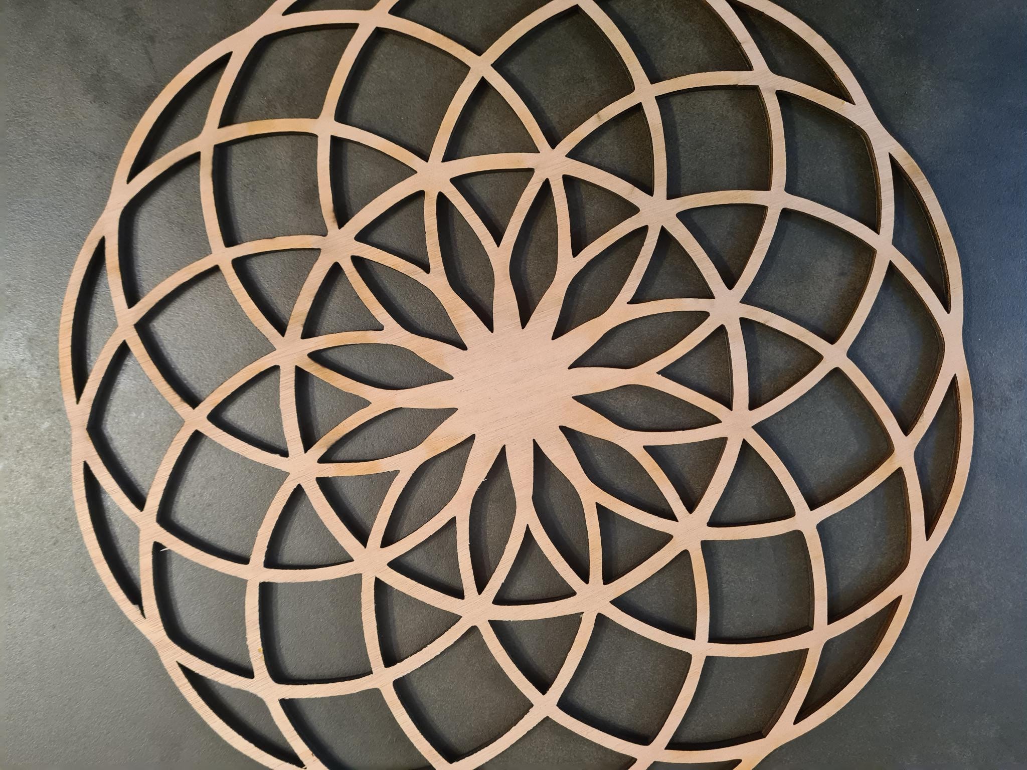Flower Torus - Etsy Flower Torus - Etsy