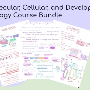 May include: A set of three colorful handwritten notes on white paper with diagrams and text. The notes are titled "Cell Cycle", "Prokaryotic Gene Regulation", and "Animal Tissues". The notes are part of a Molecular, Cellular, and Developmental Biology Course Bundle.