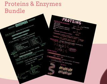 Proteins and Enzymes Study Notes/Note Set —  Biology, Pre-Med, Med School, Nursing School